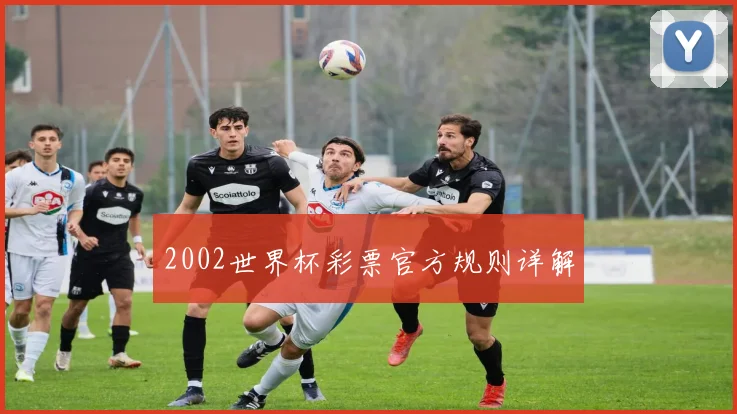 2002世界杯彩票官方规则详解