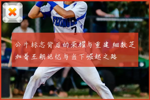 公牛标志背后的荣耀与重建 细数芝加哥王朝记忆与当下崛起之路
