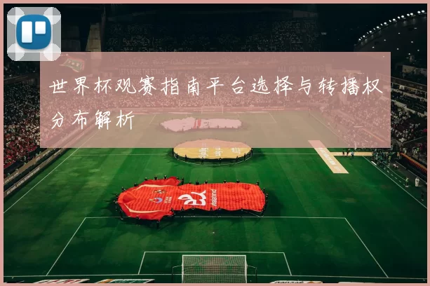 世界杯观赛指南平台选择与转播权分布解析